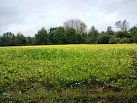 IMG_20241002_144211296_HDR