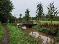 IMG_20241002_135919832