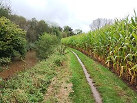 IMG_20241002_134820095