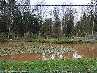 IMG_20241002_113924050