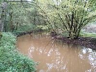 IMG_20241002_113432327