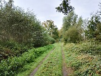 IMG_20241002_103205668_HDR