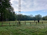 IMG_20241002_101124779_HDR