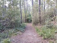 IMG_20241003_151342665