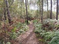 IMG_20241003_150626382