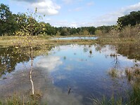IMG_20241003_150036975
