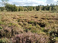 IMG_20241003_143946769