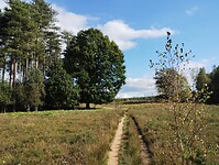 IMG_20241003_143726300
