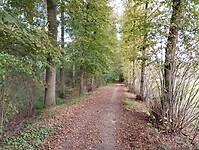 IMG_20241003_142602298