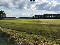IMG_20241003_141039481