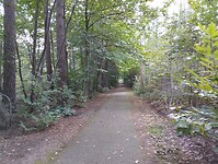 IMG_20241003_134212842