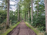 IMG_20241003_125805916
