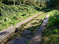 IMG_20241003_123352728_HDR