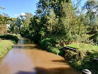 IMG_20241003_123337289_HDR