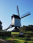 IMG_20241003_100214823