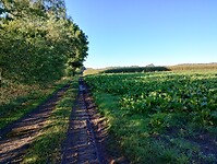 IMG_20241003_093920849_HDR