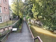 IMG_20241004_161520007