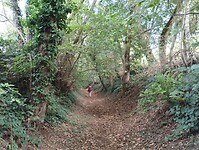 IMG_20241004_130312924