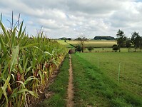 IMG_20241004_124234343