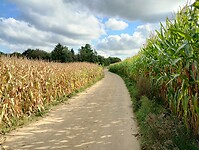 IMG_20241004_123512617_HDR