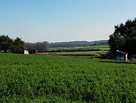 IMG_20241004_110221739