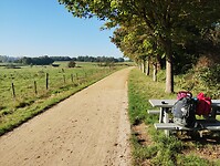 IMG_20241004_104527440