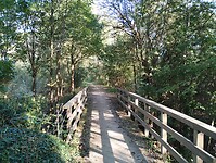 IMG_20241004_101416000