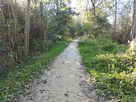 IMG_20241004_101303356