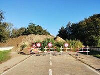 IMG_20241004_095811325