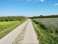 IMG_20241005_141433945
