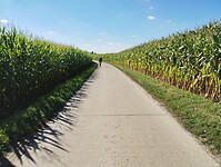 IMG_20241005_140942409