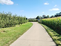 IMG_20241005_140843359