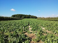 IMG_20241005_140554586