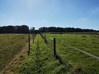 IMG_20241005_133705094