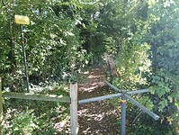 IMG_20241005_133040221