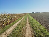 IMG_20241005_122917875