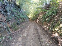 IMG_20241005_121142193