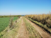 IMG_20241005_114537319