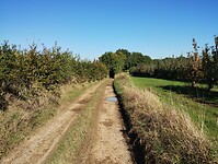 IMG_20241005_113819641
