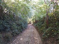 IMG_20241005_113458416