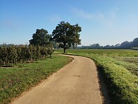 IMG_20241005_103717603