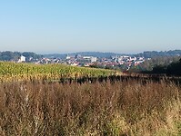 IMG_20241005_102016629