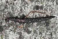 IMG_20241006_103843840~2