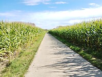 IMG_20241006_135750219