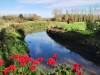 IMG_20241006_133736498