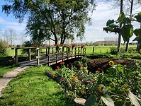 IMG_20241006_133646634_HDR
