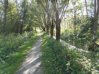 IMG_20241006_133343921