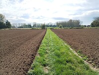IMG_20241006_120515574