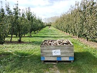 IMG_20241006_120102395