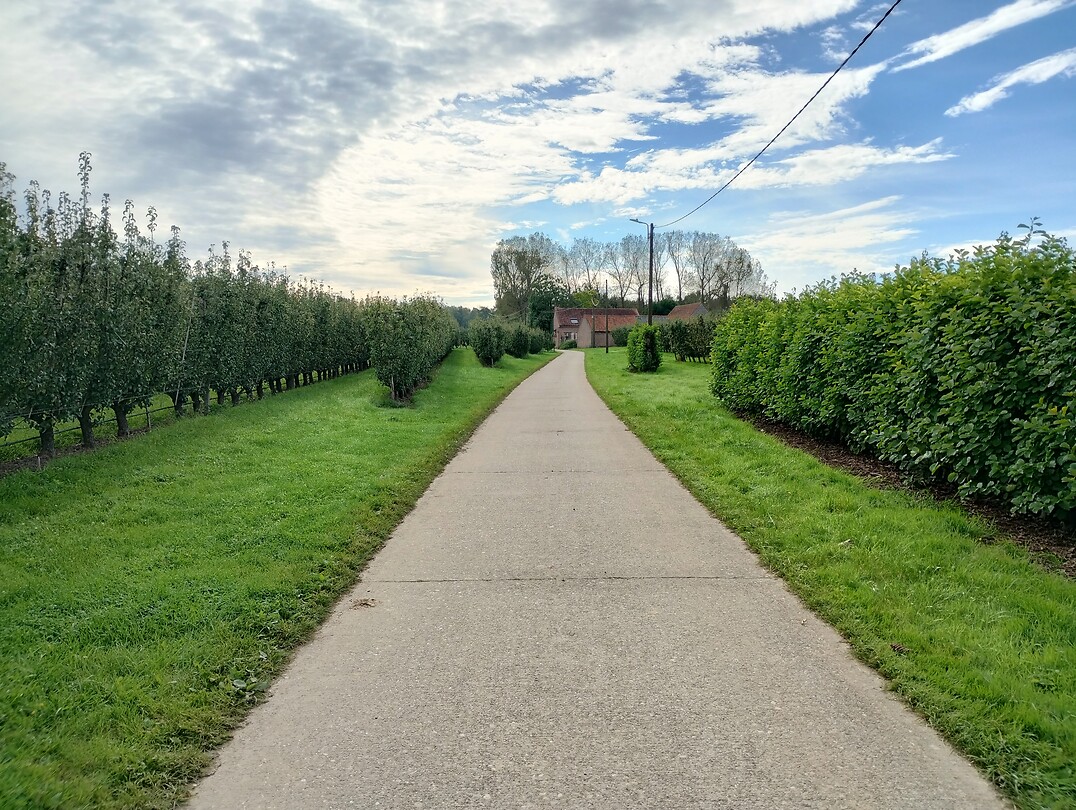 IMG_20241006_105944336_HDR